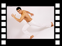 capoeira marco gogo danser
